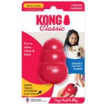Kong Clasic Treat Dispensing Chewing Toy Small