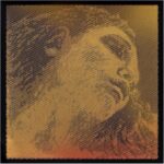 Pirastro Evah Pirazzi Gold Violin String Set - Silver Wound G - Ball E - Medium Gauge