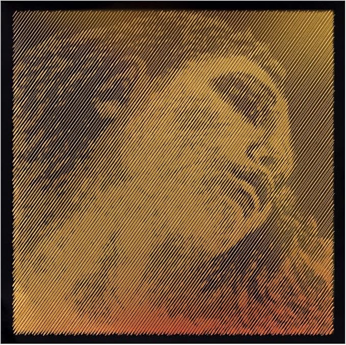 boo Pirastro Evah Pirazzi Gold Violin String Set - Silver Wound G - Ball E - Medium Gauge - Image 1